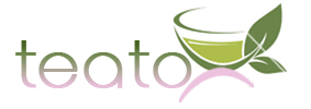 detox tee - leptin und skinny